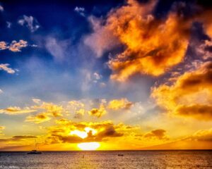 Harbor Life Background Hero Main Home Page